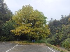 -云峰山自然风景区