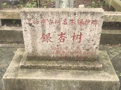 -上海佘山国家森林公园天马山园