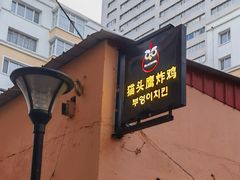 -猫头鹰炸鸡