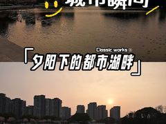 -新江湾城公园