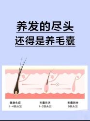 -Bollins波林丝•专研护发中心