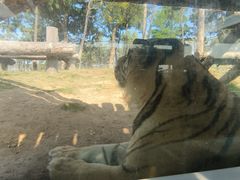 -西霞口神雕山野生动物世界