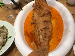 黄河大鲤鱼-味窑餐厅