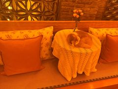 -叶叶菩提·晋福宫