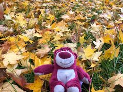 -长春世界雕塑园冰雪艺术天地