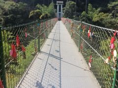 -西双版纳原始森林公园