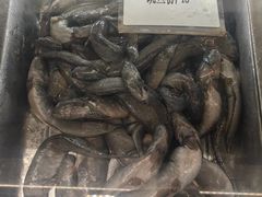 -舌尖上·霞浦滩涂海鲜·新闽菜(总店)