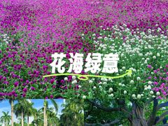 -南宁南湖公园