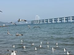 -黑石礁公园