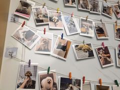 -瑞派康怡24h宠物医院·犬猫医疗中心·微创绝育(瑞景分院)