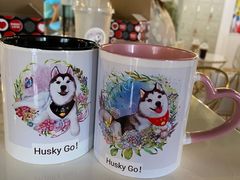 -Husky Go! 哈士奇体验馆·宠物咖啡厅狗咖