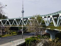 -文华公园(禅城区)