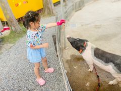 -前小桔亲子创意农场·草莓采摘·露营烧烤