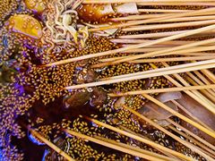 -徐妹串串香(春熙路店)