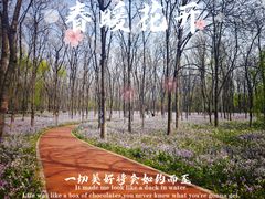 -将府公园