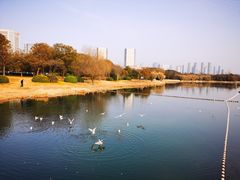 -渤公岛生态公园
