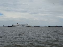 -上海滨江森林公园
