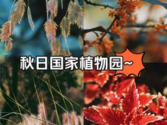 -国家植物园