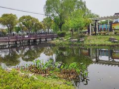 -上海浦江郊野公园-4号停车场