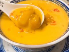 杨枝甘露-捷信牛奶甜品世家(五道口店)