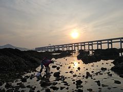 -黑石礁公园