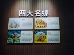 -贝壳王国博物馆