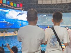 -泉城欧乐堡海洋极地世界