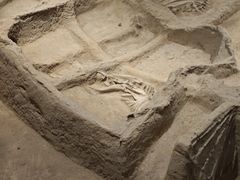 -洛阳周王城天子驾六博物馆