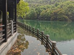 -白马涧龙池景区