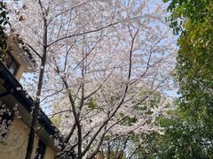 -颐和路民国时期公馆风貌区