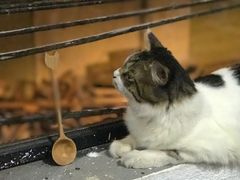 -五月木作·DIY木作文创体验店(北京路店)