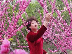 -石家庄市植物园