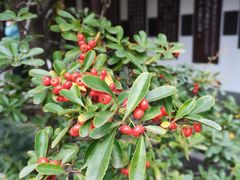 -成都杜甫草堂博物馆