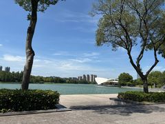 -无锡蠡湖国家湿地公园-蠡园