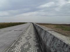 -南汇嘴观海公园