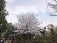 -堤角公园