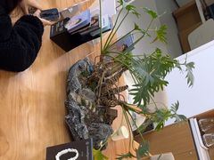 -优诺口腔(华东总院)