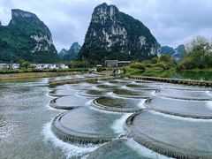 -明仕田园