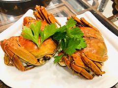 -呼吸森林·生态农庄农家乐私房菜