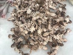 -宝燕海货工场(长江国际店)