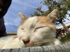 -华东政法大学(松江校区)