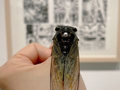 -上海油画雕塑院