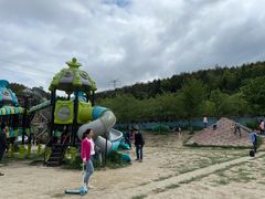 -绵阳盛世樱花悠乐谷