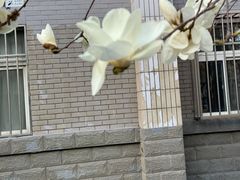 -北京理工大学(中关村校区)