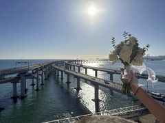-星海湾跨海大桥