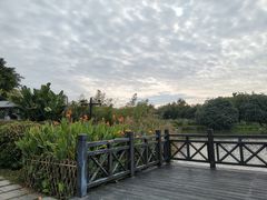 -海珠湖公园