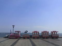 -渡海小渔村.老辈日照菜