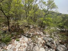 -沂蒙山旅游区云蒙景区(蒙山国家森林公园)