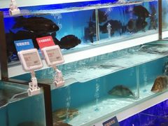 -盒马X会员店(王府井奥莱UP TOWN店)