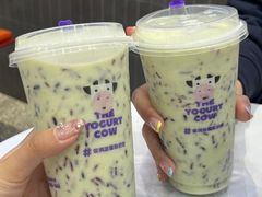 -一只酸奶牛(八一路店)